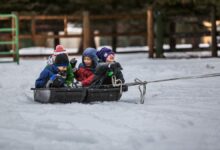 Photo of Vacaciones de invierno 2025: cuándo comienzan en cada provincia y hasta cuándo se extienden