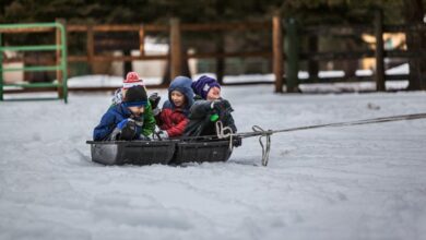 Photo of Vacaciones de invierno 2025: cuándo comienzan en cada provincia y hasta cuándo se extienden