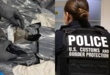 Photo of Tenían un vuelo de conexión en Chicago y los eligieron para el control aleatorio: la CBP encontró algo ilegal en su equipaje