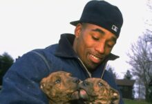 Photo of Un exjugador de la NFL enfrenta la justicia y más de 190 perros ahora están a salvo tras su condena