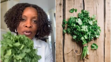 Photo of Las propiedades medicinales del cilantro: cómo la hierba típica de la gastronomía latina puede desintoxicar el cuerpo