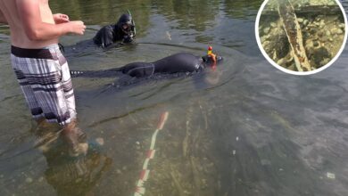 Photo of Descubren en el fondo de un río el mayor reservorio de lingotes de hace más de 2000 años