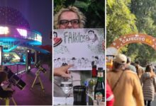 Photo of De actividades infantiles hasta ferias gastronómicas: planes imperdibles para el fin de semana del 9 y 10 de agosto