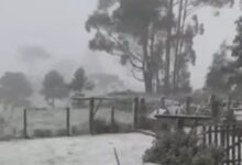 Photo of Ola polar en Brasil: la nieve cubrió varias ciudades y hubo récord de temperaturas bajo cero