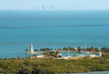 Photo of La playa que pocos conocen en Florida, a 20 minutos de Miami, que se siente como estar en el mar Caribe
