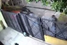 Photo of Escapaba de un robo, arrojó la mochila a una casa y los ladrones se fueron sin nada
