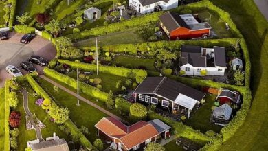 Photo of Cómo es el único barrio del mundo con diseño geométrico en círculos que organizan viviendas y espacios verdes
