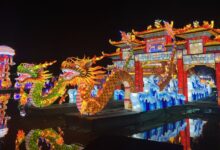Photo of Esculturas iluminadas, shows en vivo y comida típica: así será el primer Festival de Luces Chinas de Argentina