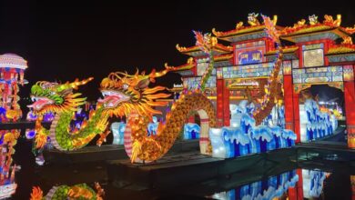 Photo of Esculturas iluminadas, shows en vivo y comida típica: así será el primer Festival de Luces Chinas de Argentina