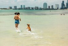 Photo of Cómo se llega a la playa que pocos conocen, a 20 minutos de Miami, que se siente como estar en el mar Caribe