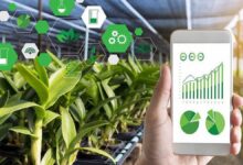 Photo of Emprendedores: lanzan un concurso para startups locales que sean innovadoras en empleabilidad, finanzas y agrotech