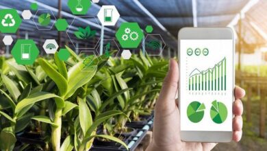 Photo of Emprendedores: lanzan un concurso para startups locales que sean innovadoras en empleabilidad, finanzas y agrotech