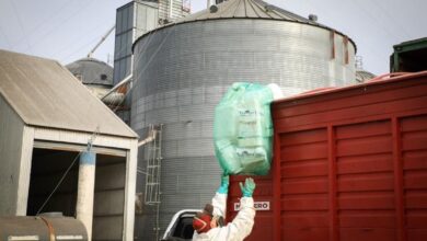 Photo of CampoLimpio recuperó 20 millones de kilos de envases vacíos de fitosanitarios en todo el país