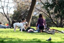 Photo of Cómo estará el clima esta semana en el AMBA: continúa el buen tiempo, pero la vuelta de la lluvia tiene fecha