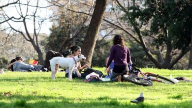 Photo of Cómo estará el clima esta semana en el AMBA: continúa el buen tiempo, pero la vuelta de la lluvia tiene fecha