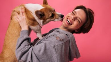 Photo of ¿Estás buscando un perro cariñoso? La ciencia reveló cual es la raza que lidera el ranking de afecto