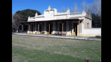 Photo of El rincón mágico de Buenos Aires que sorprende con su turismo rural y gastronómico