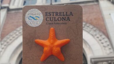 Photo of El merchandising del CONICET:  la expedición submarina ya tiene imanes, remeras y hasta gorras con la estrella culona