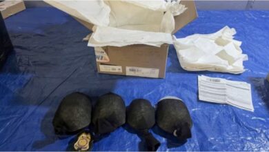 Photo of New York: un hombre fue detenido por intentar enviar 850 tortugas a Hong Kong