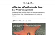 Photo of La misión del CONICET en Mar del Plata llegó al New York Times