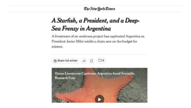 Photo of La misión del CONICET en Mar del Plata llegó al New York Times