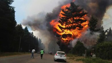 Photo of Incendios forestales en la Argentina: reflexiones y desafíos en el Día Internacional de la Prevención de Incendios Forestales