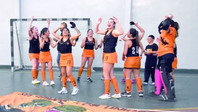 Photo of Lagartos sobrados