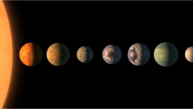 Photo of De la lluvia de meteoros a un desfile de planetas: cuáles son los fenómenos astronómicos de agosto