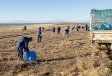 Photo of El Municipio realizó un operativo de limpieza en Punta María