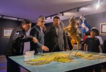 Photo of Últimos días para recorrer la muestra histórica “Este suelo, nuestra patria”